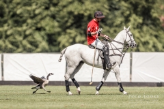 Adrian LaPlacette is joined by his new friend during semi-finals @ Polopicknick 2019
Bild: Matthias Gruber/ GruberImages.com